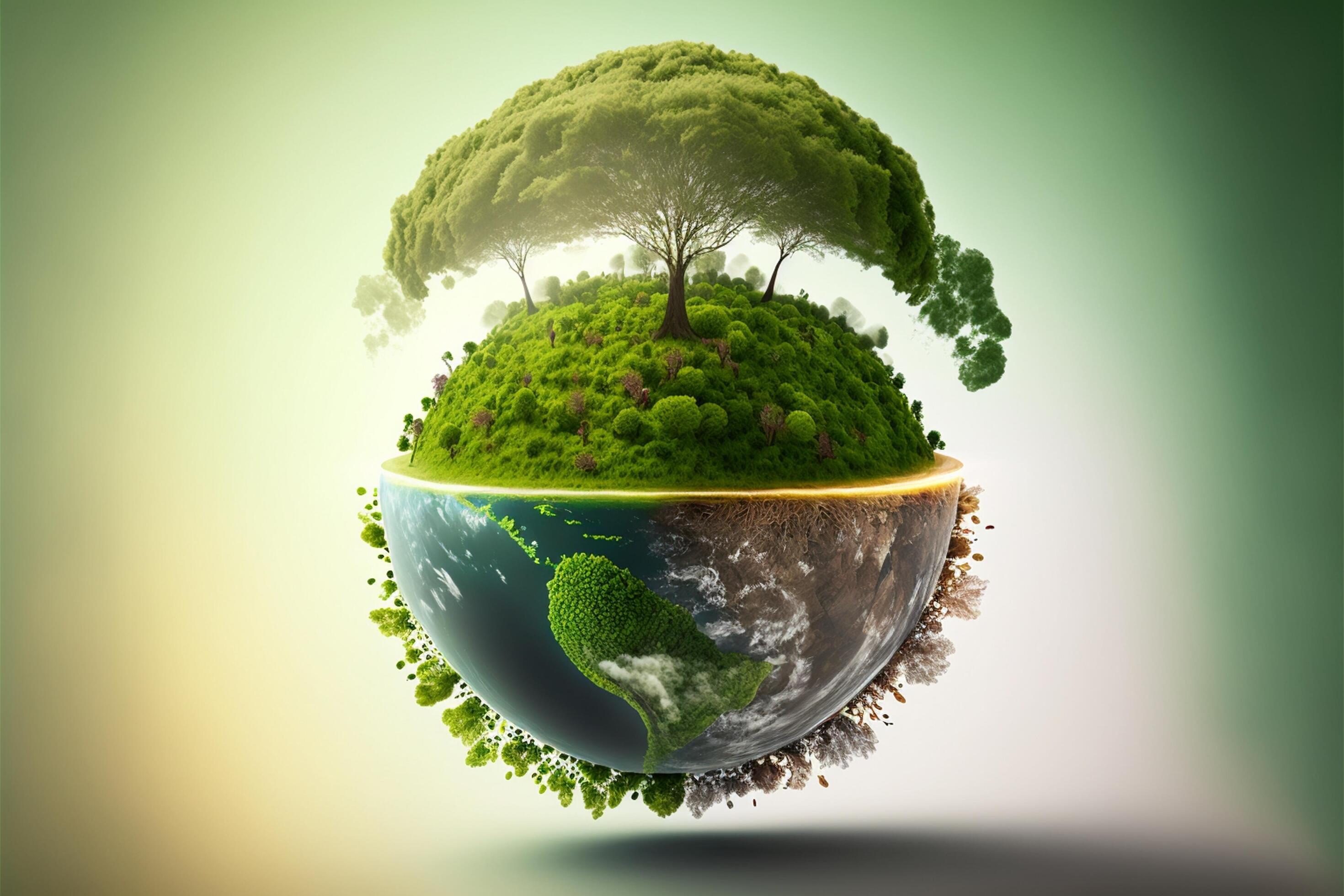ENVIRONMENTAL CLUB
