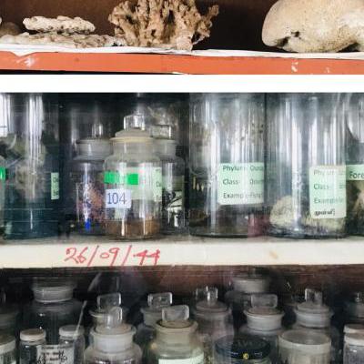 Laboratories